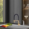 Pirooso Gold and Black Kitchen Faucet, Kitchen Sink Faucet with