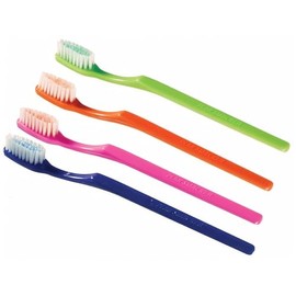 Plak Smacker Mintburst Prepasted Individually Wrapped Toothbrush (36 Toothbrushes)