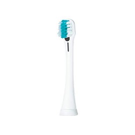 パナソニック イオン用密集極細毛ブラシ（2本入） 白 EW0913-W
