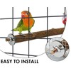 DS. DISTINCTIVE STYLE Bird Perch Stand Toy with Rotatable Balls,
