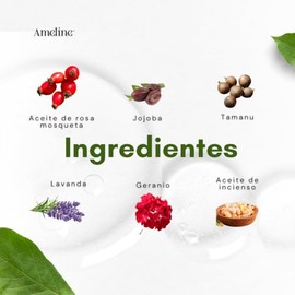 Ameline  leo Fix Suero Facial Ligero con Rosa Mosqueta y Tamanu  Equilibra y Nutre Piel Mixta o Grasa  Absorcin Rpida y Acabado No Graso  30 ml       