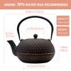 YJX 60.9oz Large Cast Iron Teapot for Stovetop Safe, 6