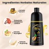 Shampoo Para Canas 500ml Natural Jengibre Tinte Cubre Canas