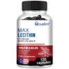 Lecithin Supplement - Cholesterol Supports cardiovascular and heart health, repairs damaged cell membranes and delays aging, 120 tablets / 레시틴 보충제 - 콜레스테롤 심혈관 및 심장 건강을 돕고 손상된 세포막을 복구하며 노화를 지연시킵니다., 120정