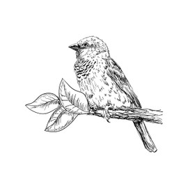 Newstamps Stamp Bird Motif Stamp Made of Wood and Rubber for Card Making, Wooden Stamp, Animals, Animal Stamp, Scrapbook, Textile Stamp, Decoration, Children