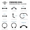 Pierced Owl 316L Stainless Steel Cat Face Seamless Bendable Cartilage