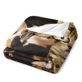 Cat Blanket Cat Kitty Gifts for Girls Boys Woman Kids Cat Kitty Lover Throw Blankets Soft Blanket Warm Fleece Flannel Plush Blankets for Bed Sofa Couch 40"x50"