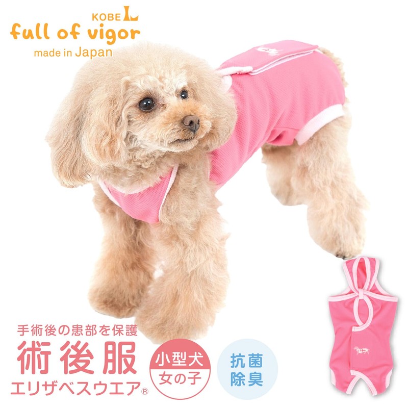 Post-surgery Clothing to Replace Cone Collar, (Girl Female/Dachsund/Small Dogs)