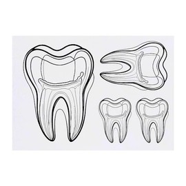 4 x 'Tooth Extraction' Temporary Tattoos - Water Resistant, Skin-Safe, Non-Toxic Transfers, Mixed Sizes (TO00069496)
