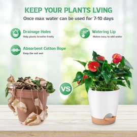 Plant Pots Indoor 8/7/6.5/6/5.5/5 Inch, Self Watering Pots for Indoor Plants, Self Watering Planters with Drainage Hole and Saucers, Plastic Flower Pots for Succulents, Cactus, African Violet
