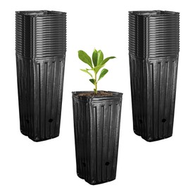 RunNico 50pcs Plastic Deep Plant Nursery Pots, 9.8”Tall Tree Pots,Black Deep Seedling Container Pots with Drainage Holes for Indoor Outdoor Gardening (4.7" Wx9.8 H)