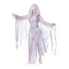 California Costumes Women's Haunting Beauty Costume Small Silver