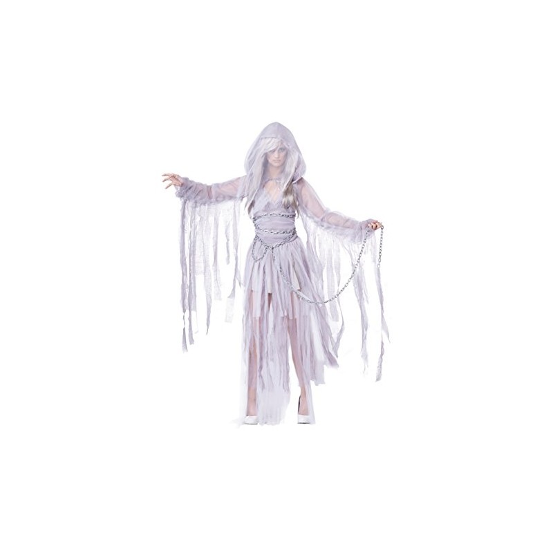 California Costumes Women's Haunting Beauty Costume Small Silver