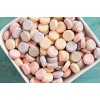 Bottle Caps, The Soda Pop Candy Cherry Grape Root Beer