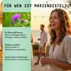 Milk Thistle (Silybum Marianum) Alcohol-Free Mother Tincture - Liquid Extract