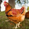 La La Pet 2Pcs Chicken Saddles and Back Protector Double-Layer