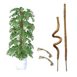 Mtalluste 2 Pack Moss Pole 48 Inch Bendable Moss Pole for Plants Monstera Tall Moss Poles for Climbing Plants Indoor Large Coco Coir Plant Pole Sticks Support Stakes for Potted Plants