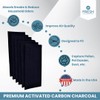 Fresh Headquarters 6-Pack Activated Carbon Air Filter - Premium 20.5"