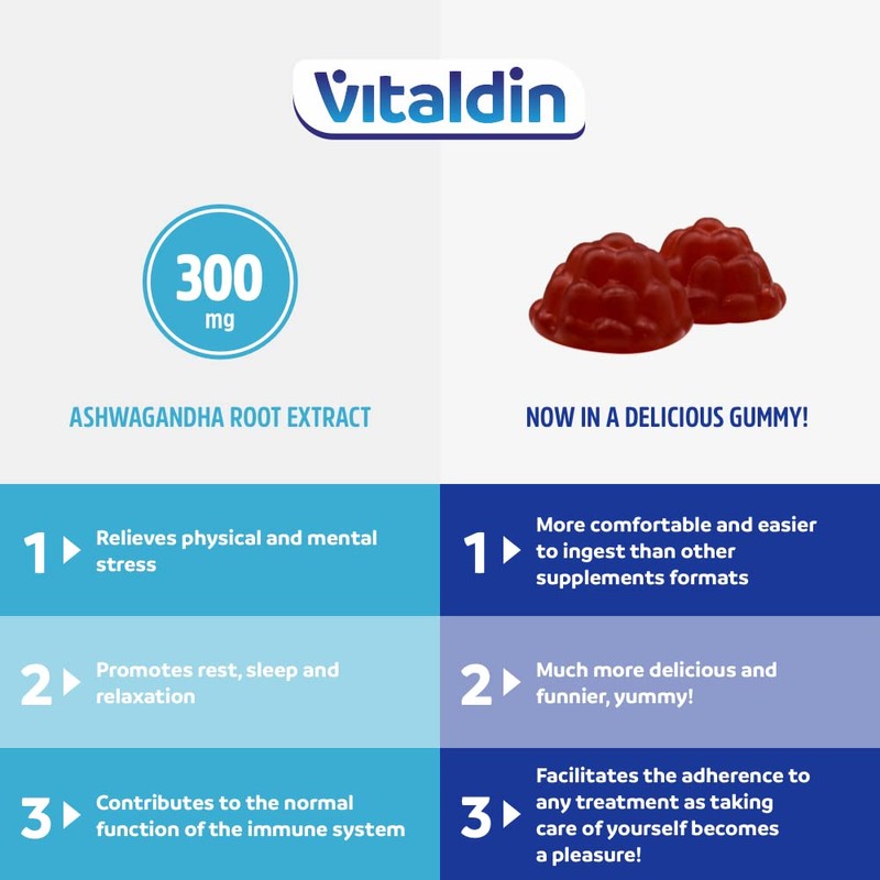 VITALDIN Ashwagandha Gummies – 300 mg Ashwagandha Root Extract KSM-66