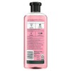 Herbal Essences Rose Hips Smooth Shampoo, 13.5 Fl Oz, 5.527