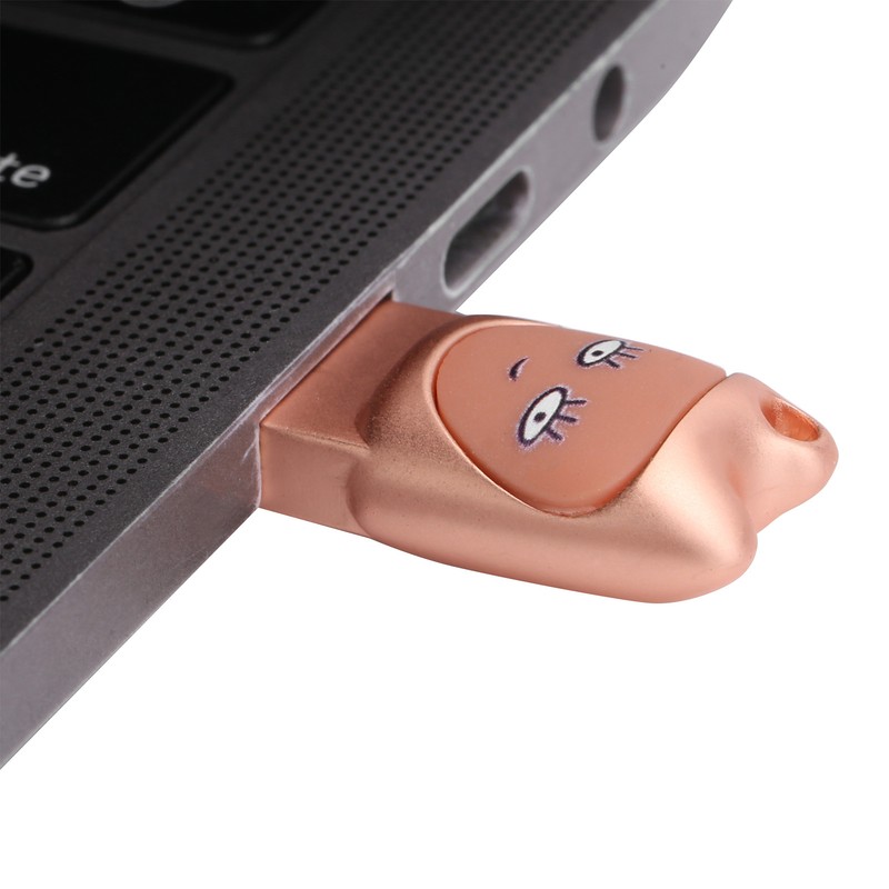Flash Disk USB2.0 Interface Plugin Free Drive Cartoon U Disk