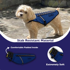 CoyoteVest Dog Harness Protection Vest, Reflective Dog Accessories with Spikes to Shield Your Pet from Raptor and Animal Attacks, Snap Buckles for Fast Wearing and Removal (X-Small, Royal Blue)