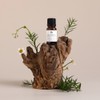 Benton tea tree oil 100% undiluted solution 10mL / 벤튼