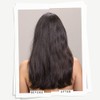 Davines Momo Conditioner, 2.5 fl. oz.