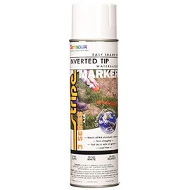 Seymour 219827 20-352 20 oz (16 oz Fill) White 3 House Paint