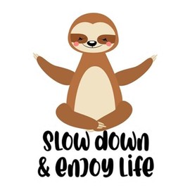 Slow Down Enjoy Life Vinyl Sticker 5 Inches Funny Sloth Stickers for Vehicles Cars Bumper RV Window Adults Laptops Waterbottles Trucks