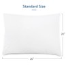 Pillow Protector 4 Pack Waterproof, 20 x 26 Inches Pillow