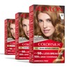 Revlon ColorSilk with Bond Repair Complex, Permanent Hair Color, 100%