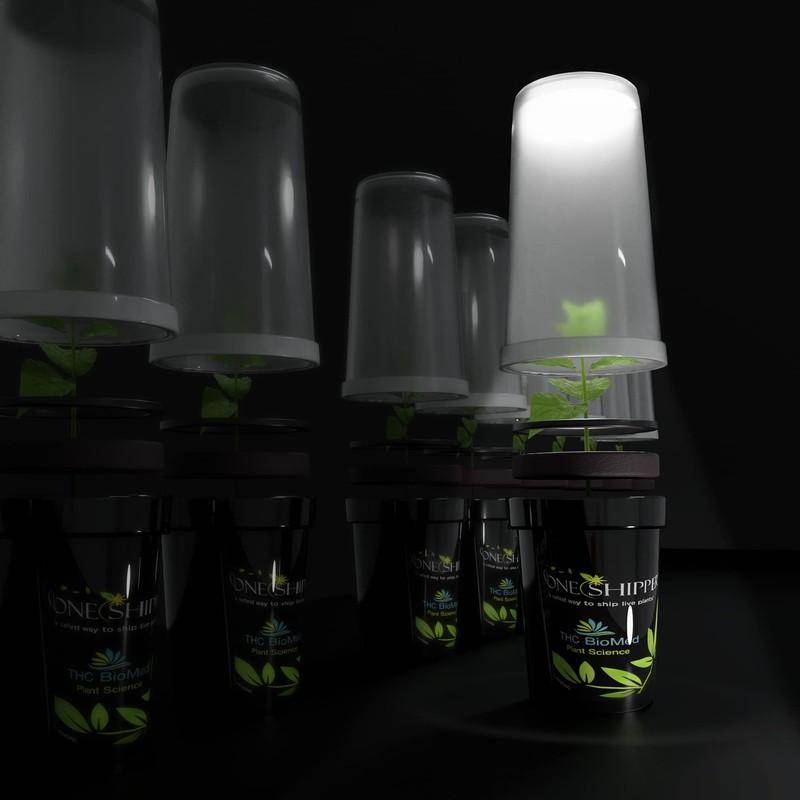 Clone Shipper Plastic Shipping Container Young Live Plants LED Light