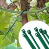 6 inch 3mm Dark Green Nylon Garden Cable Zip Ties