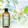 PHATOIL Aroma Oil, Jasmine, 3.4 fl oz (100 ml), Essential