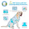 LovinPet Dog Cone Alternative After Surgery - Surgical Suit for