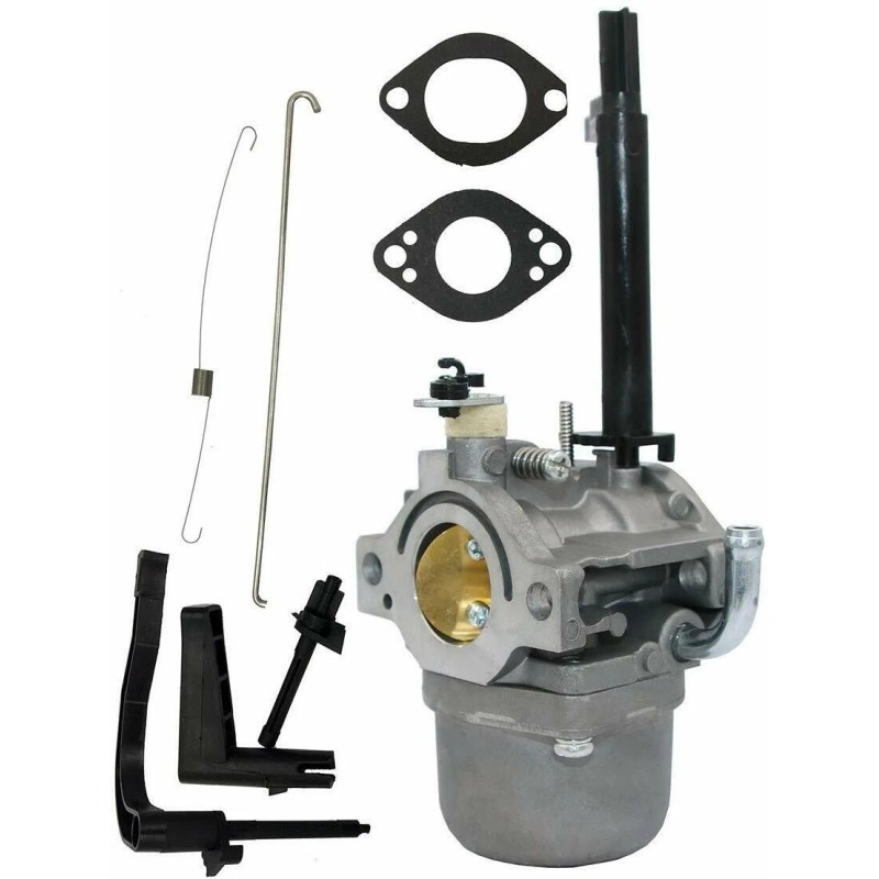 OEM-GT Carburetor Carb For Briggs & Stratton 793778 Nikki Snowblower