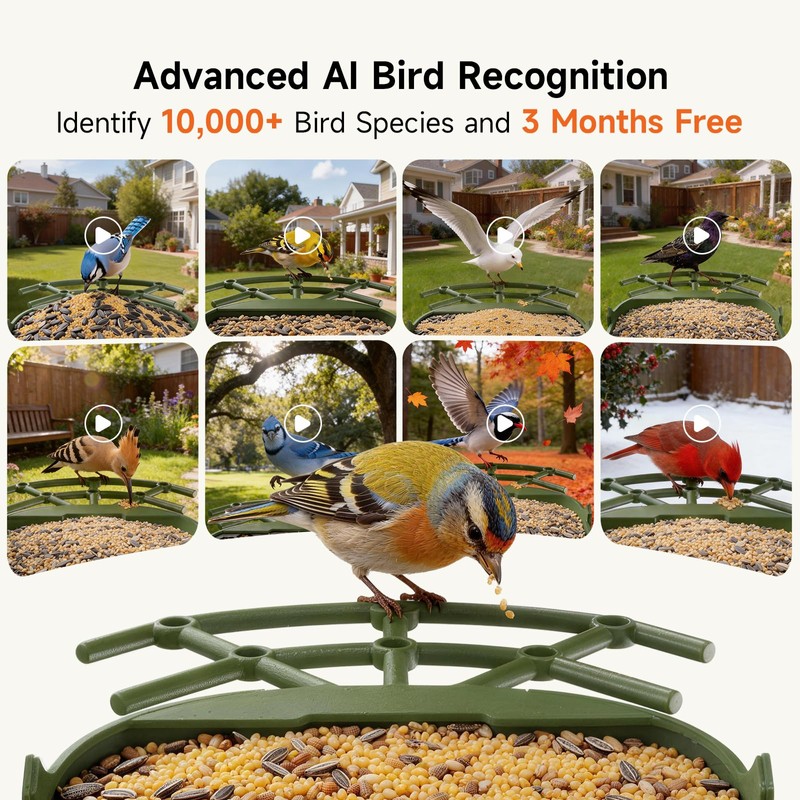 CINMOORE Smart Bird Feeder with Camera - Solar Powered, AI