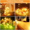 cshare Solar Fairy Lights Outdoor Waterproof,16.4ft 50LED Solar String Lights