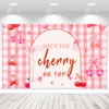 TEASIK Pink Cherry Party Backdrop 6x3.6FT - Cherry Decorations for
