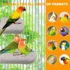 4 Pack Bird Beak Grinding Calcium Stone, Parrot Cage Perch
