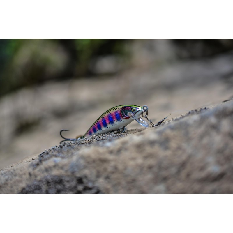 Rapala Esca di pesca esca d'élite, 1, CDE35, Gilded Rainbow