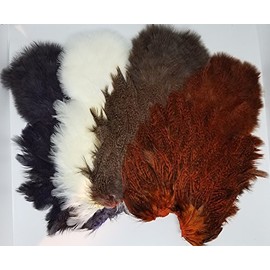 Whiting Farms Coq De Leon Hen SH with Chickabou | Speckled Dyed Kingfisher Blue