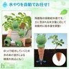 heizi Automatic Watering Plant Watering Automatic Travel Away Automatic Waterer