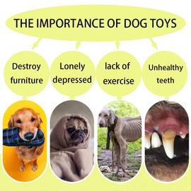 FANSEZQ Dog Frisbee, Dog Disc, Pack of 2 Dog Toy Frisbee, Rubber Frisbee, for Land and Water, Outdoor Sports, Gardens, Parks and Children's Toys (Blue + Orange)