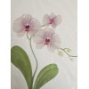 PAPYRUS ORCHID FLOWERS BLANK INSIDE ALL OCCASIONS CARD