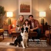 HMYYJT Remote Control Light Bulbs, A19 LED Bulb, 9W LED