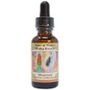 Power of Flower Healing Essence Silver Sword 30ml
