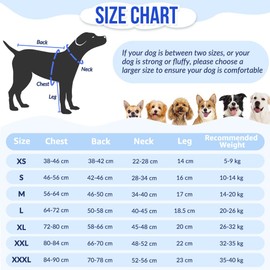 Eyein Dog Surgery Recovery Suit - Protect Wounds Dog Recovery Suit Female Male, Dog Onesie Body Suit Dog E-Collar & Cone Alternative After Surgery, Anti Shedding Suit for Small Medium Large Dogs(XL)