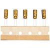 Electron Reserves ER-MS-ALC-NCFG1H100MDDx5 High Grade Audio Electrolytic Capacitors FG Series